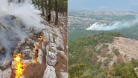Mersin’de korkutan orman yangını!