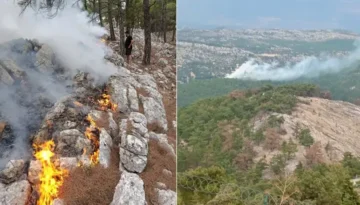 Mersin’de korkutan orman yangını!