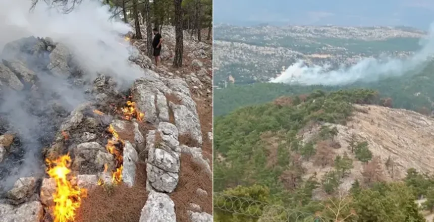 Mersin’de korkutan orman yangını!