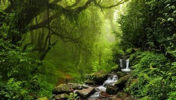 Karadeniz Sahilinde Turizmi Canlandıracak Yeni Proje