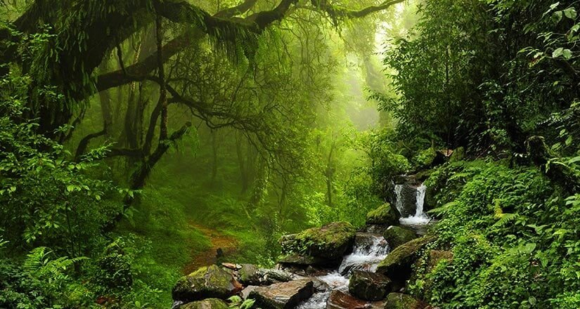Karadeniz Sahilinde Turizmi Canlandıracak Yeni Proje